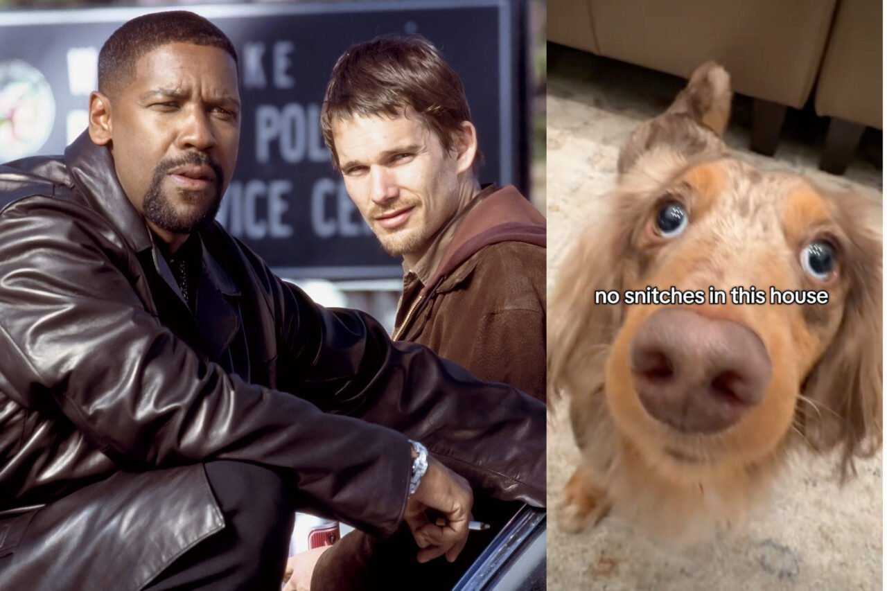 Smiley Roger Training Day Dog